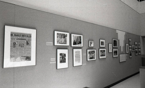 Charles R. Drew Postgraduate Medical School exhibit, Los Angeles, 1985