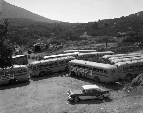 Buses, Los Angeles, 1962
