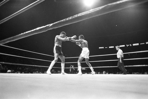 Hedgeman Robertson and Andy Price fighting at The Forum, Inglewood, California, 1983