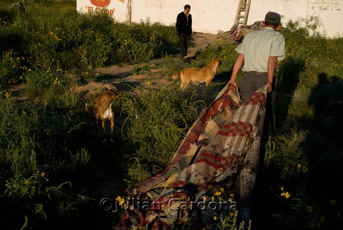 Drying blankets, Juárez, 2008