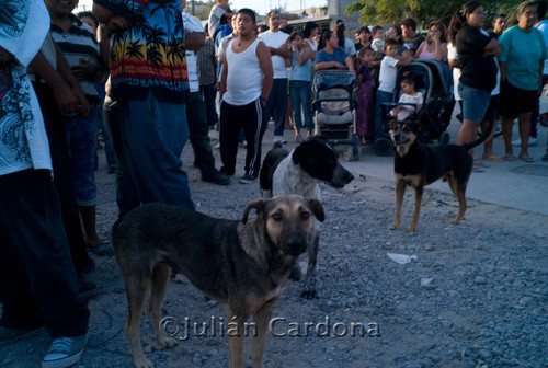 Crime scene crowd, Juárez, 2008