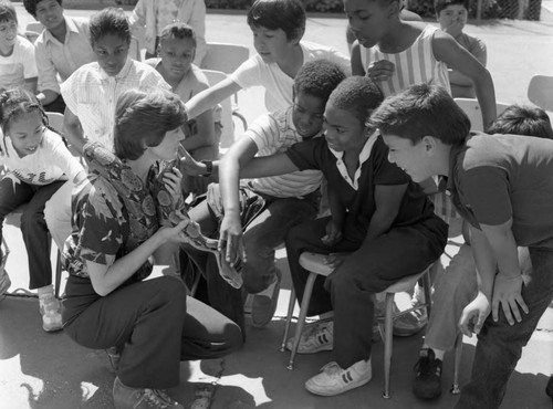 Children petting a python at Magic Mountain, Valencia, California, 1986