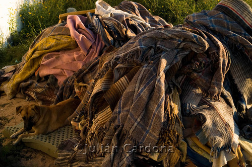 Drying blankets, Juárez, 2008