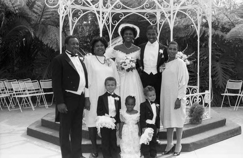 Bealer and Lowe wedding party posing for a portrait, Los Angeles, 1984