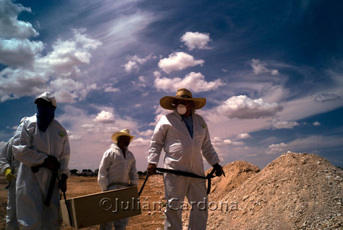 Mass Grave, San Rafael Cemetery, Juárez, 2009