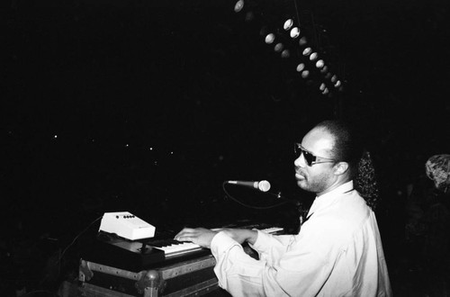 Stevie Wonder performing at the Black Family Reunion, Los Angeles, 1989