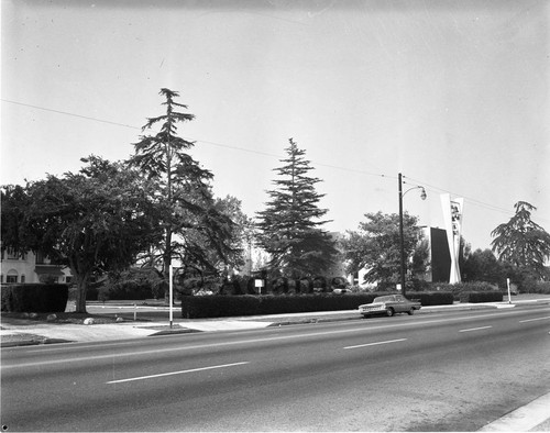 Street view, Los Angeles, 1965