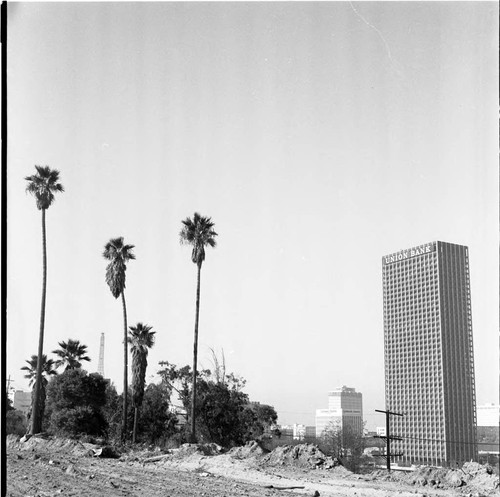 Building Site Overlooking Union Bank, Los Angeles, ca. 1969