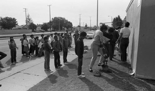 Foshay Jr. High School students planting rose bushes, Los Angeles, 1983