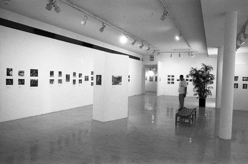 Guy Crowder exhibit, Los Angeles, 1993