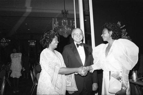 Image Awards (NAACP), Los Angeles, 1984