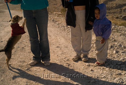 Dog on leash, Juárez, 2007