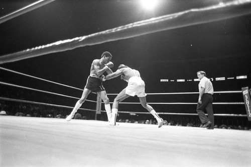 Hedgeman Robertson and Andy Price fighting at The Forum, Inglewood, California, 1983