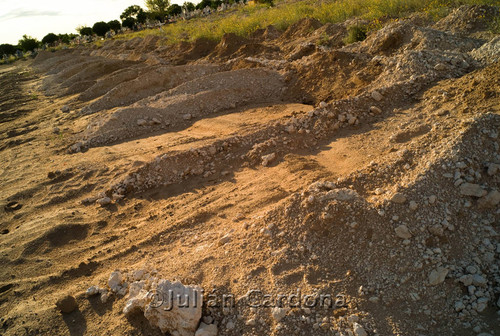 Mass grave, Juárez, 2009