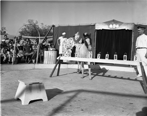 6th Ave. School, Los Angeles, 1949