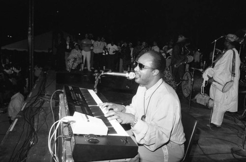 Stevie Wonder performing at the Black Family Reunion, Los Angeles, 1989