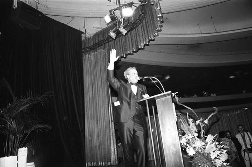 Image Awards; Los Angeles, 1981