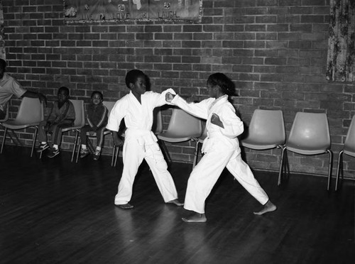 Karate Testing Program, Los Angeles, 1983