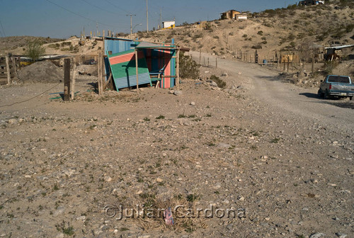 Granjas Unidas, Juárez, 2007