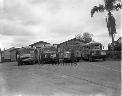 School buses, Los Angeles, 1963