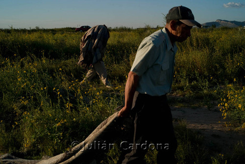 Drying blankets, Juárez, 2008