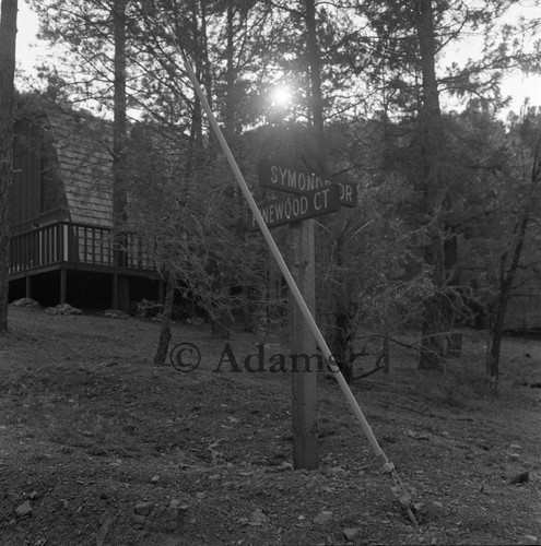 Cabin in the mountain, Los Angeles, 1973