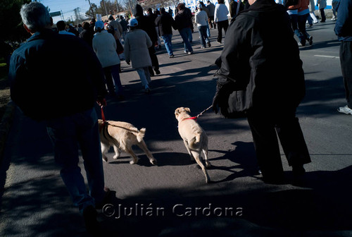 March for Peace, Juárez, 2009