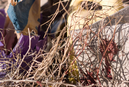 Execution Scene, Juárez, 2007