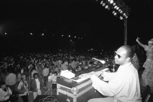 Stevie Wonder performing at the Black Family Reunion, Los Angeles, 1989