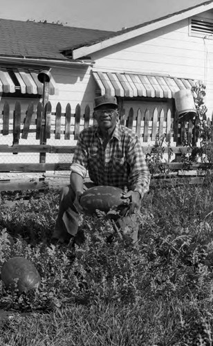 Willard Ericson kneeling in his garden, Los Angeles, 1985