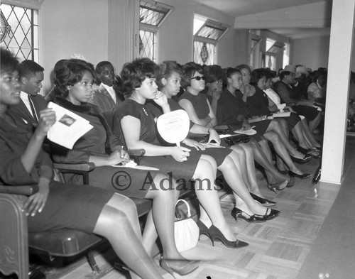 Audience, Los Angeles