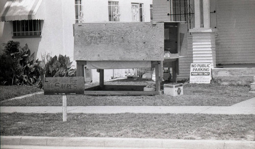 Neighborhood front yard, Los Angeles, 1983