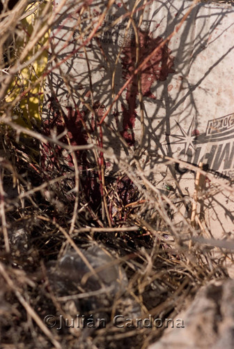 Execution Scene, Juárez, 2007