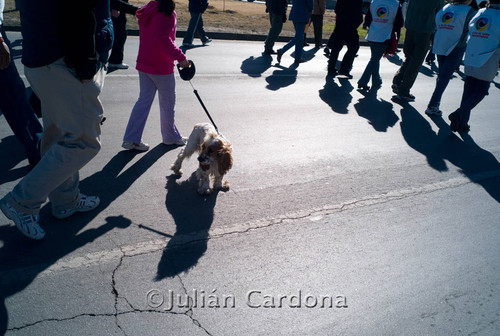 March for Peace, Juárez, 2009