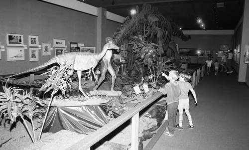 Two boys looking at a dinosaur exhibit created by Westland School students, Los Angeles, 1986