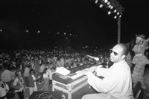 Stevie Wonder performing at the Black Family Reunion, Los Angeles, 1989