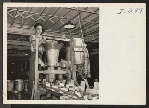 Satsuki Yasumoto, formerly of the Colorado River Relocation Center, is pouring beans into a package-filling machine in the processing plant
