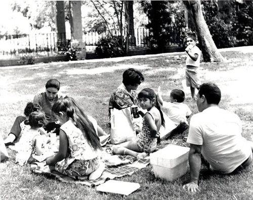 Families enjoying a picnic at the park