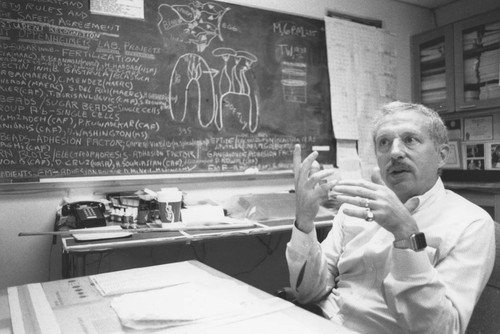 Dr. Steven Oppenheimer in his California State University, Northridge (CSUN) laboratory, September 19, 1991