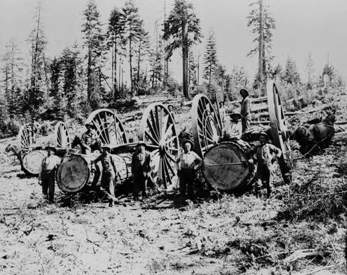 Logging near Clio