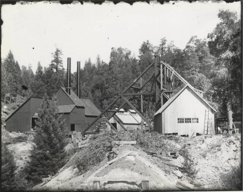 Black Bear Mine