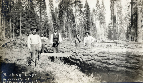 McCloud, CA Loggers