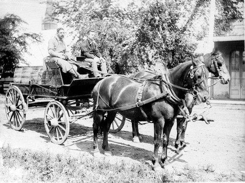 California Brewery Wagon