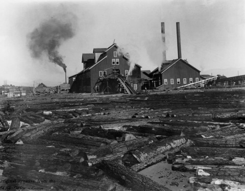 Lumber Mill