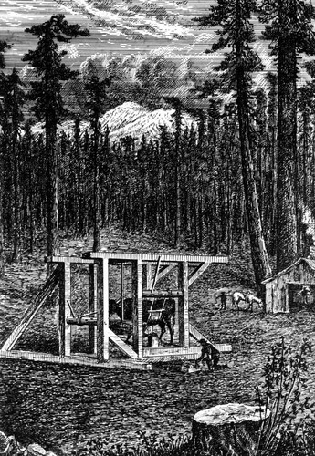 Sierra Flume and Lumber Company