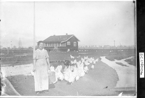 Lou Adams and Chickens