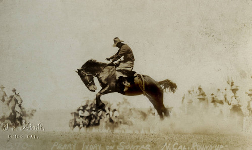 Perry Ivory, Northern California Rodeo