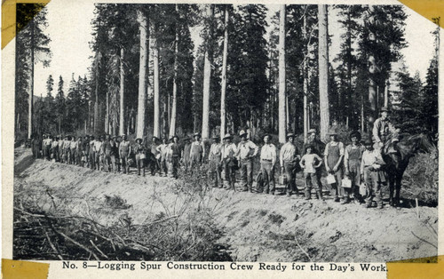 Logging Spur Construction Crew