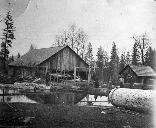 Ed Egli Sawmill