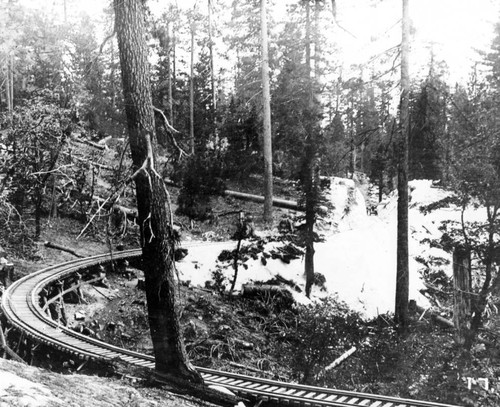 Diamond's Meter-Gauge Logging Road/Track